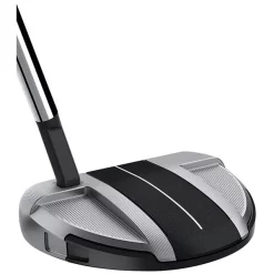 TaylorMade Golf Taylormade Spider GT Rollback Silver/Black Small Slant Putter