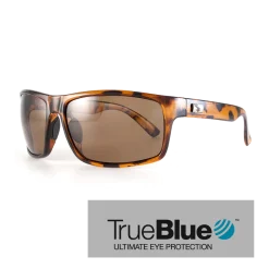 Sundog Eyewear Sundog Fringe Eyeware - True Blue - Brown Demi / Brown